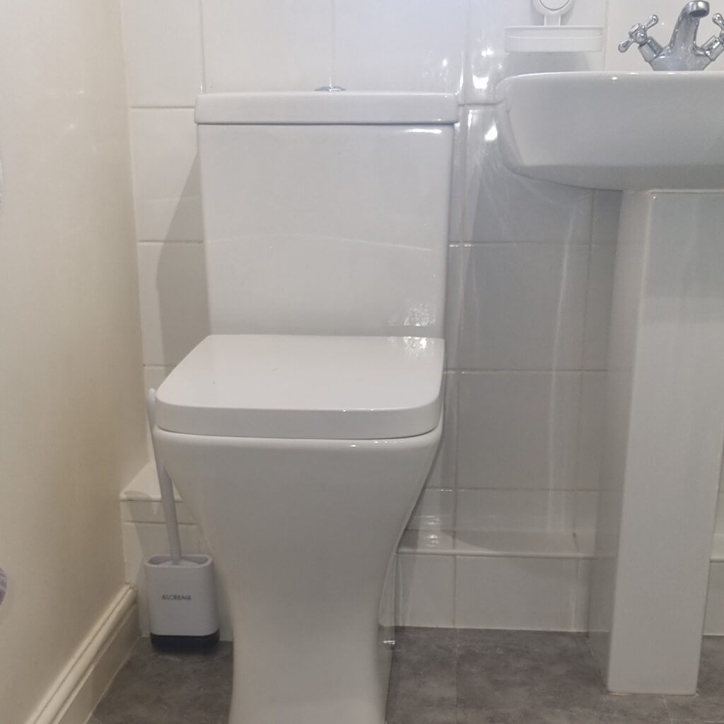 Plumber in Dagenham_Toilet Installation